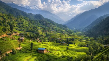 Poster - rice terraces