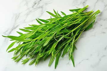 A Bunch of Fresh Green Tarragon Sprigs on a White Marble Surface