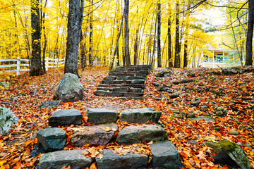 Wall Mural - Trails near the Kingsmere lake on scenic and historic Mackenzie King estate,the residence of former Canadian prime minister,Mackenzie King with fallen autumn leaves at Gatineau Park,Quebec,Canada