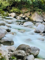 mountain river in the forest