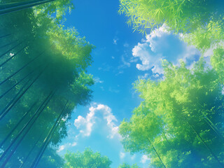 Wall Mural - A view looking up at the bamboo from a bamboo grove. Styled like an anime or game background. Blue sky, sunset, sunrise, night, fog, snow, rain, cloudiness, autumn leaves, etc.