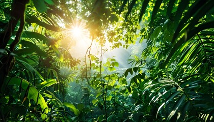 Wall Mural - tropical rainforest vibrant with lush green foliage illuminated by sun rays filtering through the dense canopy