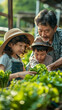 © Akharadat - Several Asian farmers working together in a hydroponics system on a vegetable farm. In a greenhouse garden, grandparents teach their grandchildren how to grow and care for organic lettuce vegetables.