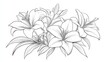 © BlockBrushstrokes - Lily Line Drawing Black and white floral bouquets Flower coloring page Floral line art Fine line lilies illustration Hand drawn flowers Botanical designs for wedding invitations