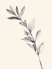 Poster - Line art illustration featuring delicate and slender lines depicting a floral sprig