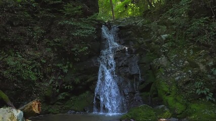 Wall Mural - Slow motion footage of a waterfall in a forest