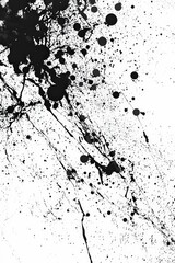 Poster - Black Ink Splatter