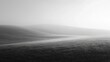 © Nuntapuk - Serene Black and White Foggy Landscape View