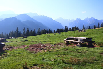 view from the meadow of Rusinowa Polana to the Tatra Mountains, Poland