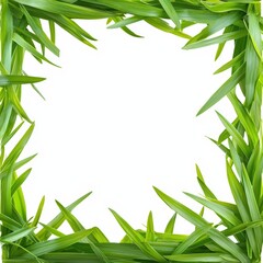 Sticker - Green leaves frame