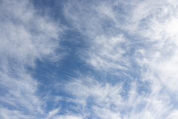 Wall Mural - the sky is blue with white clouds