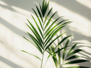 Wall Mural - green palm leave 