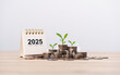 © Deemerwha studio - Calendar happy new year 2025 with  graph and stack of growth coins. financial annual plan for save money, Budget, tax, investment, financial, savings, and New Year Resolution retirement concept.