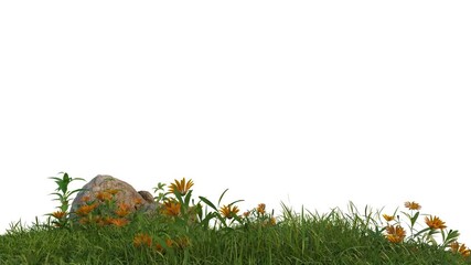 Aufkleber - isolated green grass and flower field footage on white background, 3d illustration rendering
