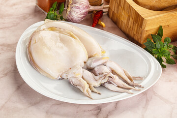 Sticker - Raw fresh cuttlefish for cooking