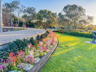 View of a botanic garden before sunset in Auckland, New Zealand.