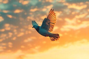 Wall Mural - a single dove soars against a backdrop of a vibrant orange and blue sunset sky.