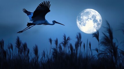 Wall Mural - Stork flying against a full moon over pampas grass serene night scene