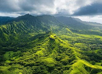 Canvas Print - Lush Green Mountain Valley