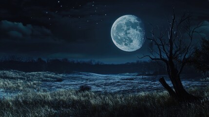 Wall Mural - distant full moon