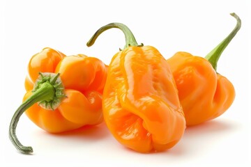 Wall Mural - A fresh Habanero isolated on white