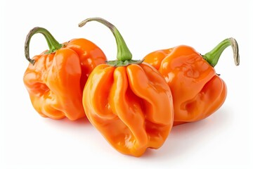 Wall Mural - A fresh Habanero isolated on white