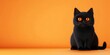 © Anastasija - Sinister black cat isolated on bright background. Playful and mysterious animal concept perfect for Halloween, pet products, and themed marketing.