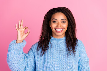 Photo of pretty young woman show okey symbol wear pullover isolated on pink color background