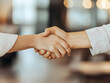 © Zape - Businesswoman shaking hands with a client in a clean office.