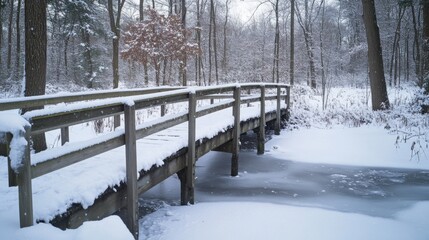 Wall Mural - Snow-Covered Wooden Bridge Over a Frozen Stream in a Snowy Forest