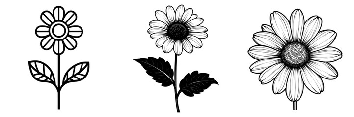 Wall Mural - It symbolizes purity and innocence as it is black and white with a white center