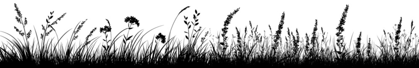 Wall Mural - Isolated silhouette of floral meadow with grass and herbs. Horizontal border.