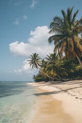 Poster - Tropical Beach with Palm Trees and Blue Sky