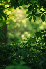 Wall Mural - Green Leaves Background