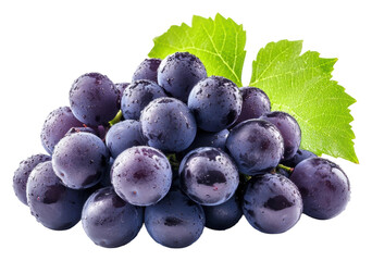 Wall Mural - Freshly picked dark grapes with water droplets isolated on transparent background