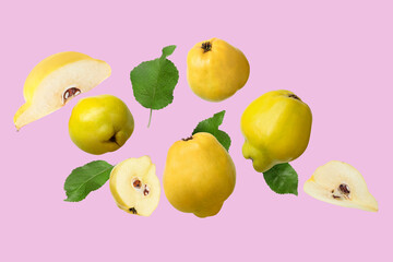 Poster - Fresh quinces and green leaves flying on lilac background