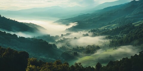 Wall Mural - valley filled with morning mist 