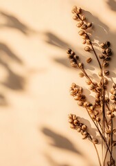 Poster - Dried Flowers With Shadow on Beige Background