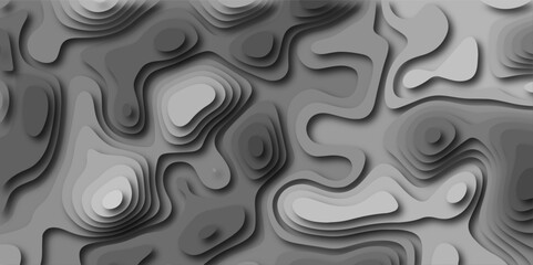 Wall Mural - topo contour map on graybackground, topographic contour lines vector map. geography scheme and terra