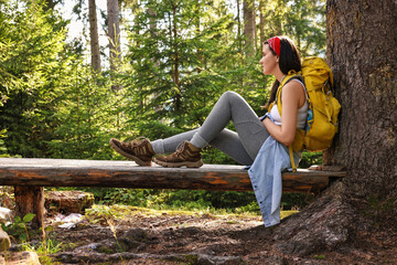 Poster - Young hiker sitting on wooden bench in forest