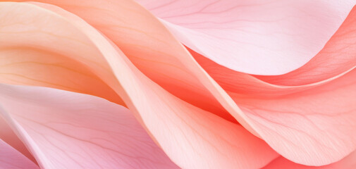 Wall Mural - A pink and orange flower with a wavy stem