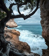 Poster - Ocean View Through Tree Branches And Rocky Cliffs