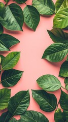 Wall Mural - Green Leaves on Pink Background Minimalist Nature Photography