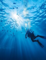 Wall Mural - Diver exploring underwater world surrounded by fish in clear blue ocean during bright sunlight