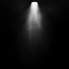 Canvas Print - Spotlight in darkness