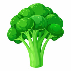 Poster - Vegetable broccoli fresh illustration healthy food 