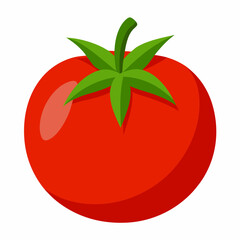 Wall Mural - tomato vector illustration