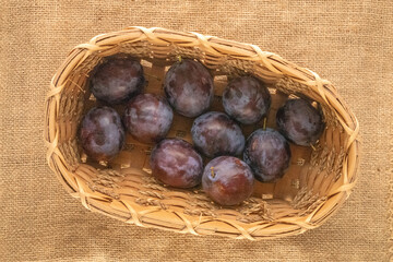 Wall Mural - Sweet plums in a basket on a jute cloth, macro, top view.