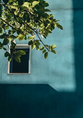 Wall Mural - Green Leaves Against Teal Wall with Window