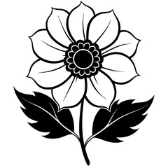 Wall Mural - Line art of a anemone flower. Vector illustration 
